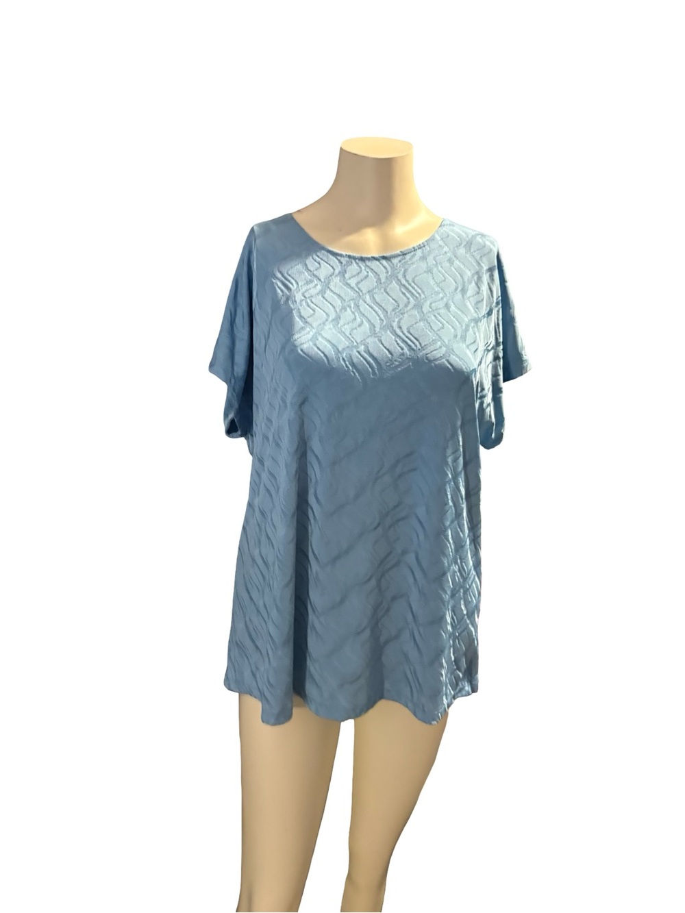 Allison Daley Light Blue Short Sleeve Textured Blouse